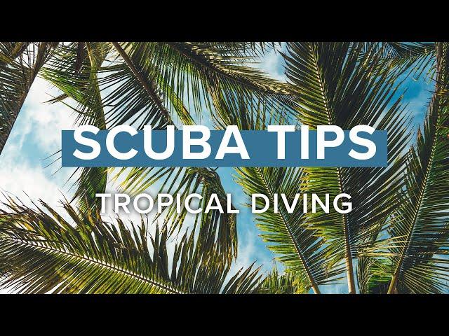 Tropical Diving | Scuba Tips | @simplyscuba