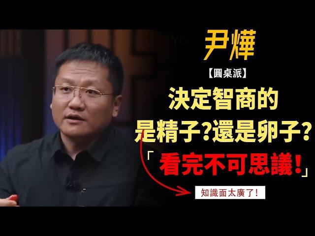 決定智商基因的，究竟是精子還是卵子？看完不可思議！#竇文濤#週長#馬未都#許子東#尹燁 #圓桌派第五季 #圓桌派