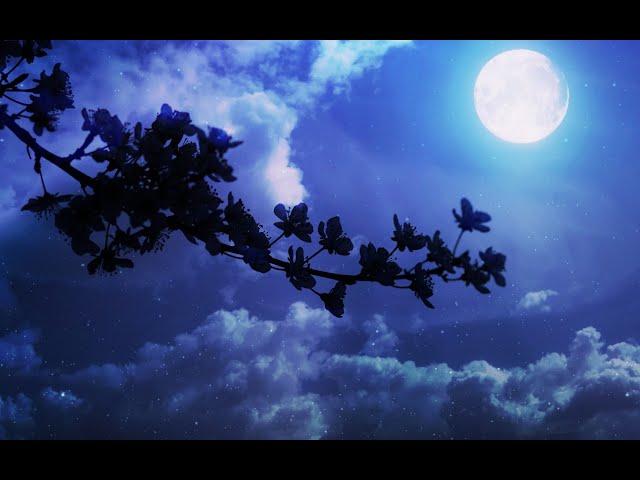 [𝙋𝙡𝙖𝙮𝙡𝙞𝙨𝙩] 동양풍 음악 모음 ( feat. 동양 로판 과몰입 ) | 광고 없는