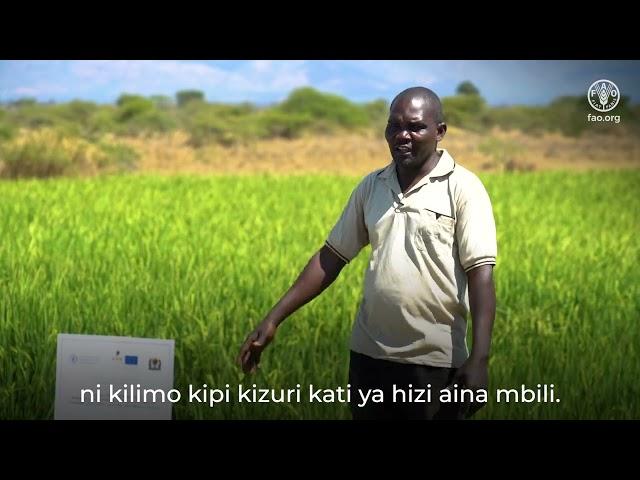 Kilimo Shadidi – Zalisha zaidi kwa kutumia kidogo