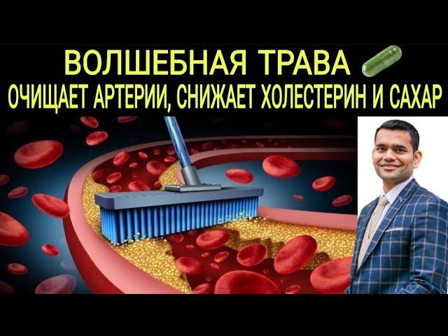 Чудесная Трава, Которая Очищает Артерии, Снижает Уровень Холестерина И Сахара.