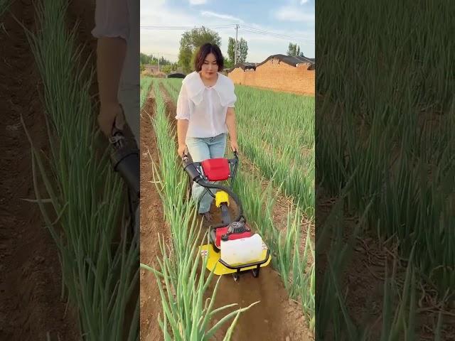 #rotarytiller #lawnmower #ditchingmachine #cultivator@Kuaishou sales assistant @Kuaishou creator