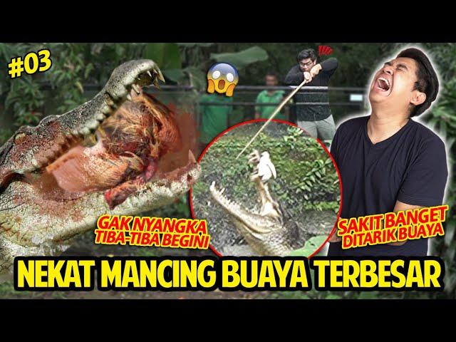 NEKAT MANCING BUAYA RAKSASA PAKE AYAM UTUH! TARIKANNYA KUAT BANGET! BALI REPTILE PARK #part3