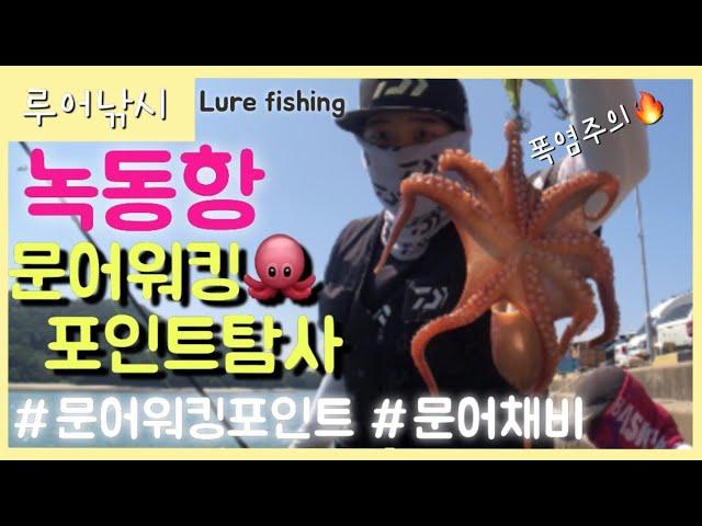 [낚시부부] 고흥 녹동항 꽝없는 문어포인트(octopus fishing),문어워킹낚시