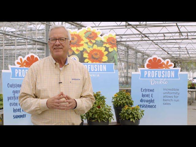 Zinnia Profusion Series Overview