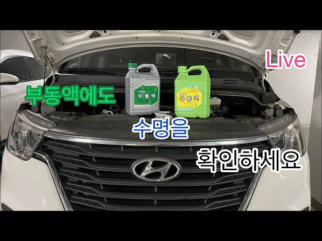 LIVE Hungry DiY, 그랜드스타렉스 부동액 교환
