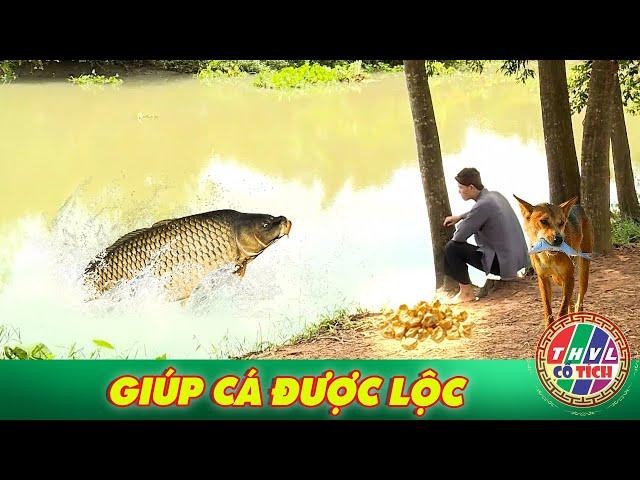 CỔ TÍCH MỚI 2025 | GIÚP CÁ ĐƯỢC LỘC | CỔ TÍCH VIỆT NAM HAY NHẤT 2025