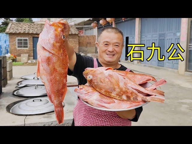 1900買6條特大石九公，阿胖山做川味烤魚，香辣過瘾真下酒