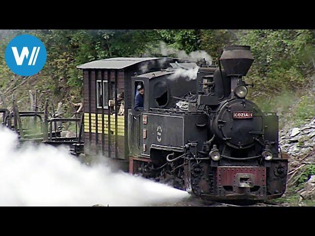 Die Waldbahn der Karpaten (360° - GEO Reportage)