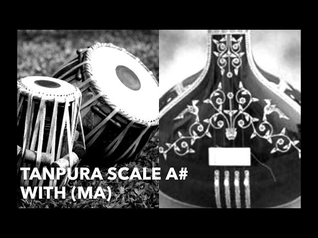 TANPURA A# with Ma (Madhyam) | Scale A sharp