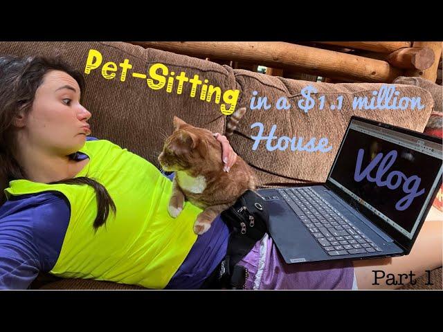 VLOG: Day in the Life of a Petsitter | Trusted Housesitters Experience Vlog - part 1