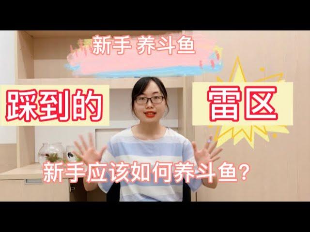 【养鱼篇1】新手养斗鱼踩到的雷区！新手应该如何养斗鱼？