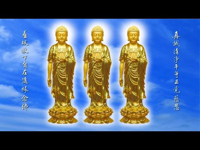 攝心念佛【 阿彌陀佛】- 淨空法師 慢念佛號 12小時 Chin kung master Buddha 12 hours