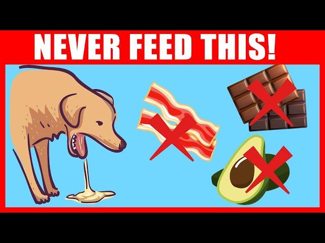 14 Foods That Could Kill Your Dog