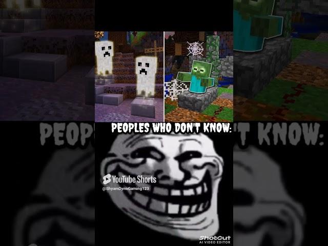 Minecraft Shorts video #minecraft #shorts #viral