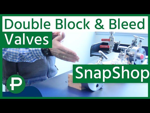 Double Block and Bleed Valves | Peerless SnapShop