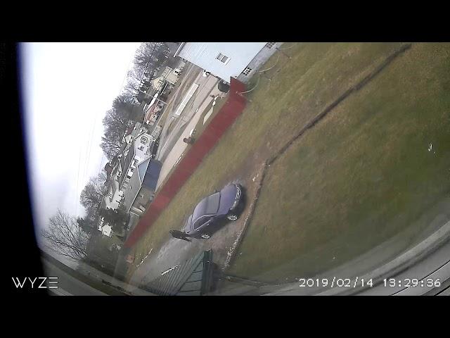 Wyze Camera video