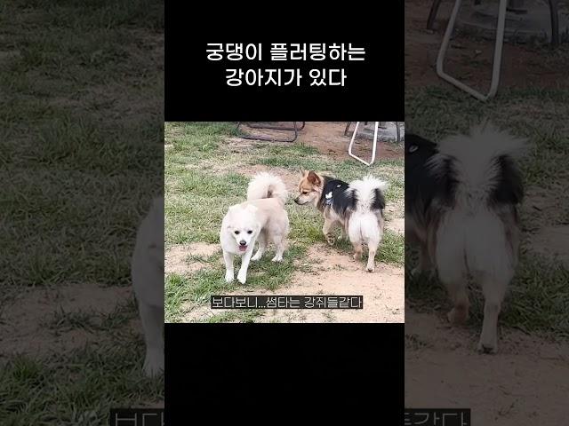 하루의 플러팅 방법 공개