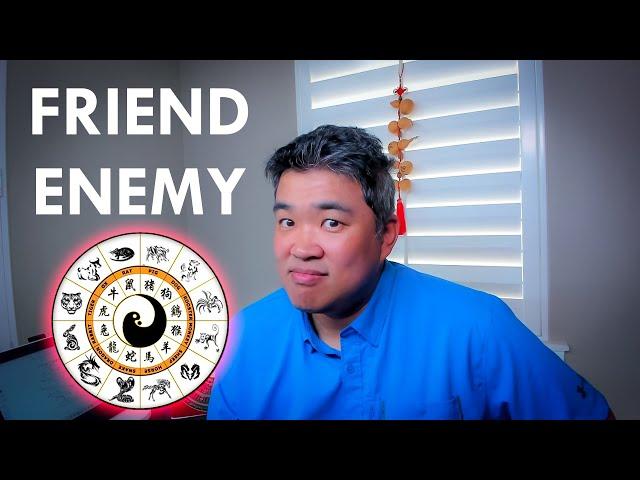 Who Are Your Friends and Enemies | Chinese Zodiac Signs