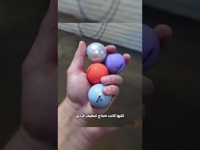 وجدوا الكنز في بركة جافة !