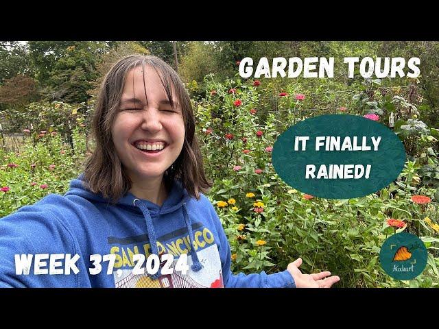 Can you believe the garden is still this beautiful? | Garden Tour WEEK 37, 2024