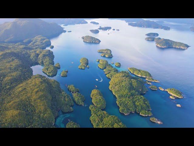 SEA Fiordland's amazing Hunting and Fishing expedition with Josh James and friends | part 2