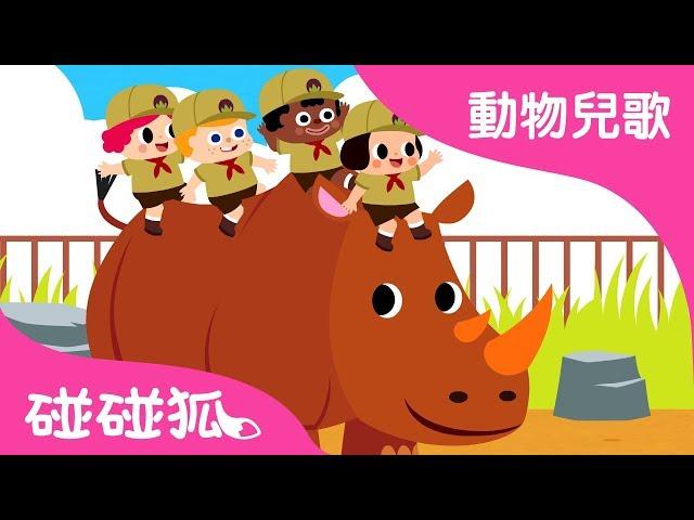 要是你去動物園 | 動物兒歌 | 碰碰狐pinkfong！兒童兒歌