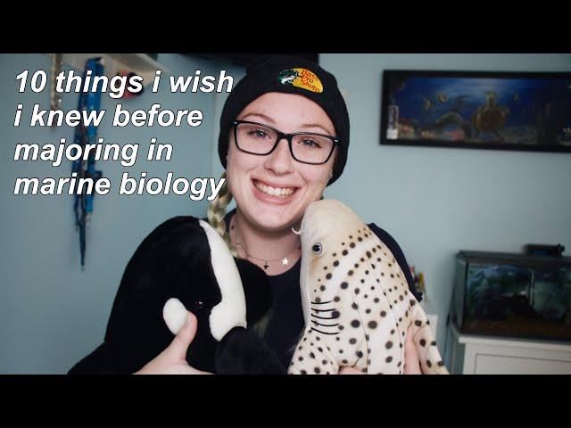 10 things i wish i knew before majoring in marine bio