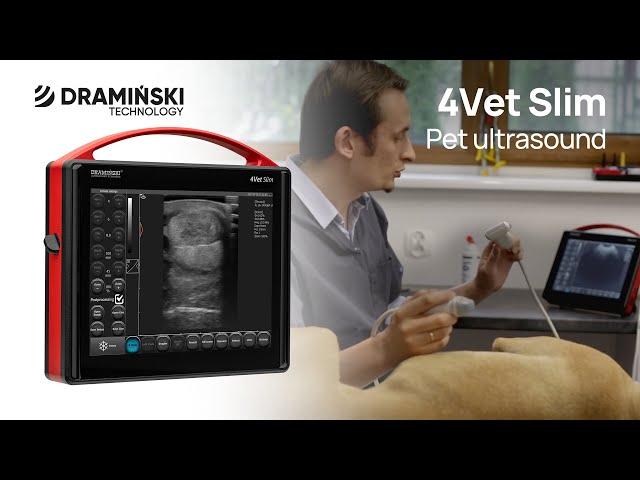 DRAMIŃSKI 4Vet Slim - Q&A - Small Animal Ultrasound