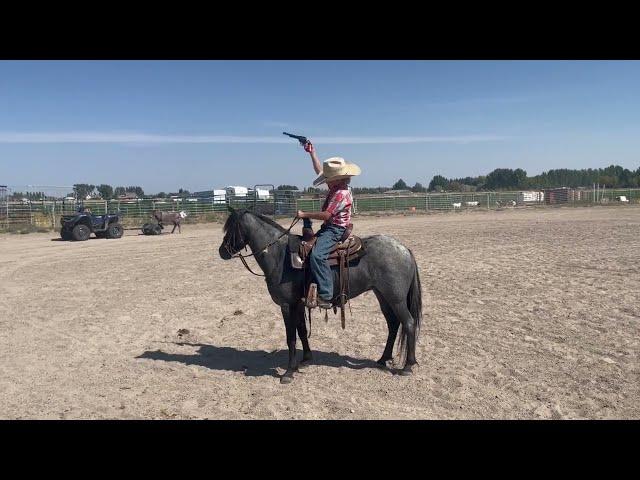 Huckleberry 2nd Video - Blue Roan Pony For Sale