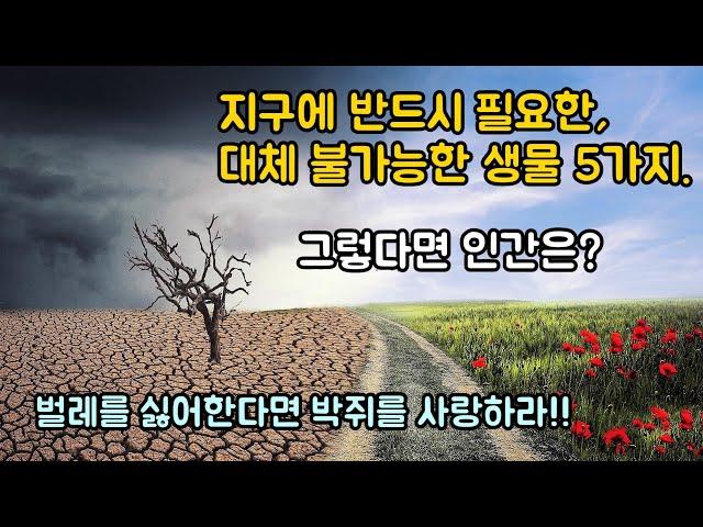 지구에 반드시 필요한, 가장 중요한 생물 5가지. 그렇다면 인간은?