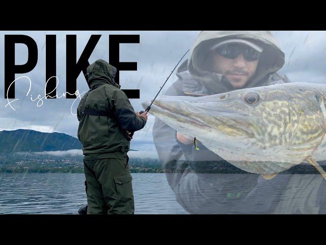 Pesca al LUCCIO ITALICO dalla Barca sul Lago di Varese - Pike Fishing