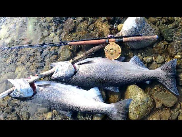 Vedder Fishing Report September 20