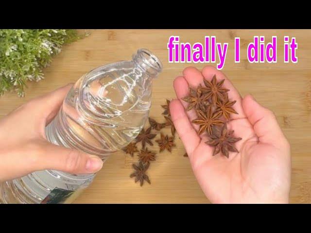 If you put Star Anise in White Vinegar!  you will NOT want to use another recipe