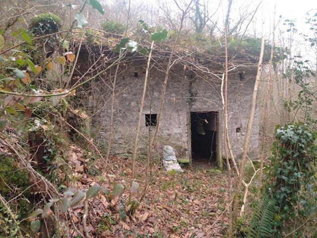 CABAÑA PRIARES, ASTURIAS