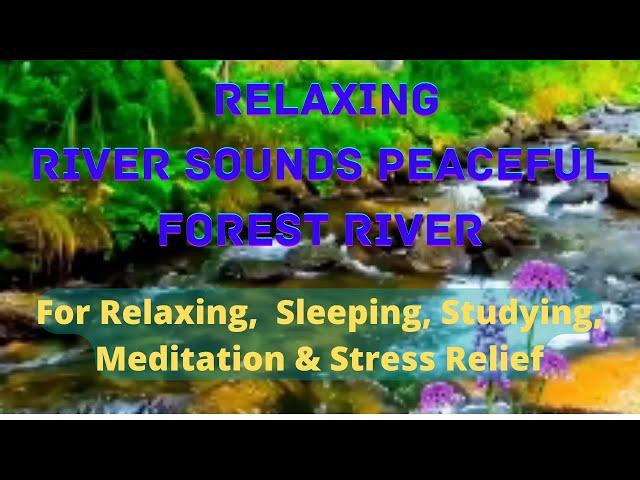 Nature sounds relaxing music 2 hours | River sounds for relaxing, Sleeping, Studying, stress relief