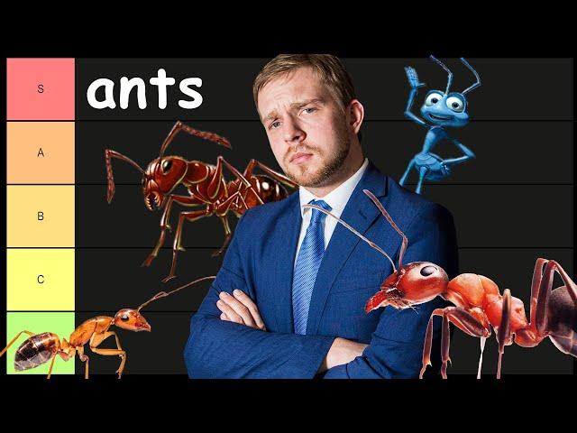 THE ANT TIER LIST