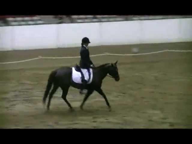 Amanda Haines 2013 Equestrian Recruiting Dressage Video