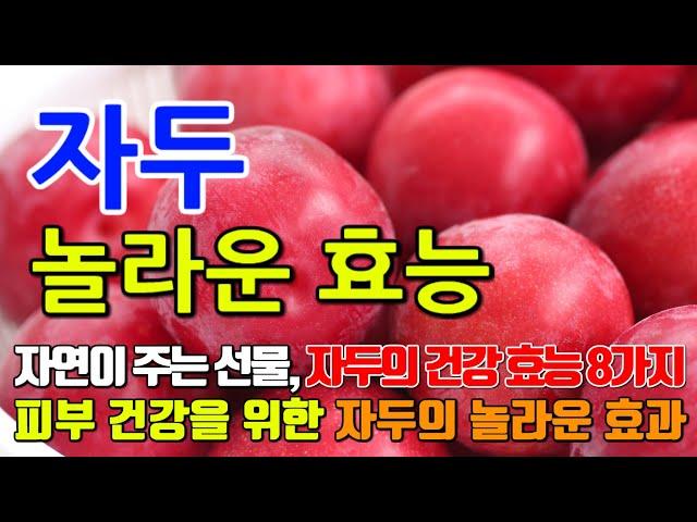 자두의 놀라운 효능 8가지 & 부작용 / 자두를 매일 먹어야 하는 이유!  피부 건강을 위한 자두의 놀라운 효과