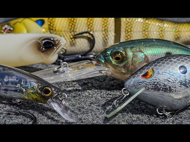 Top 5 Baits For October Bass Fishing!