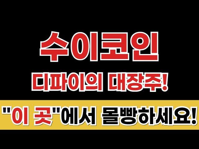 [수이 코인 전망] 수이 디파이의 미친 상승 ! 역대급 신고가 지금안사면 진짜 후회합니다!  #수이코인 #수이코인전망 #수이코인목표가