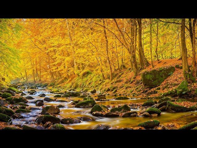 Beautiful Relaxing Music - Soothing Autumn Melodies, Mindful and Peaceful Piano Instrumental Music