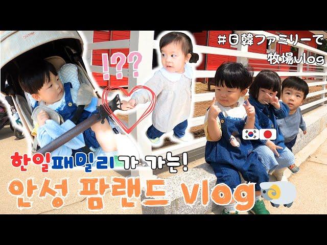 One-year-old babies hold hands and go on a date...!? [KOR-JPN couples]:::(farm, amusement park)