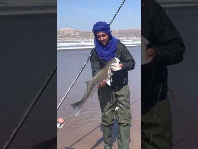 Larbi pêche vlog صيد سمك درعي #pescaria #pernambuco #بحري #السمك #بحر #سمك