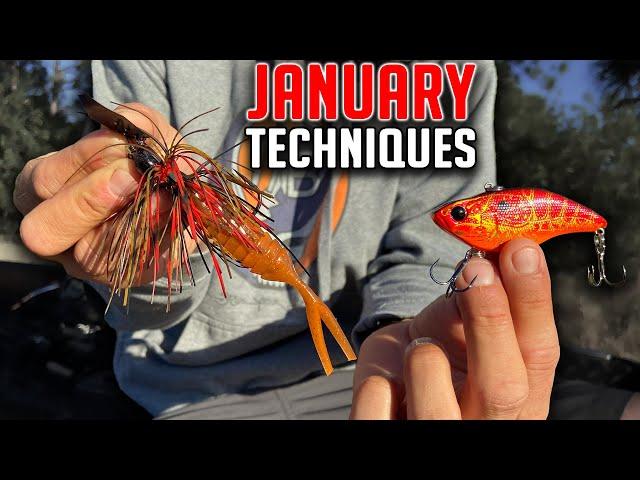 2 TECHNIQUES that are DEADLY for January BASS Fishing