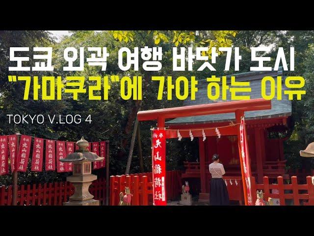 (4)TOKYO V LOG/가마쿠라/일본 도쿄 소도시 여행/고마치도리 스트리트/쓰루가오카하치만궁/시치리가하마 해변/후지산/요리도코로/카마쿠라고교마메역/일본 열차여행/이나무라가사키역