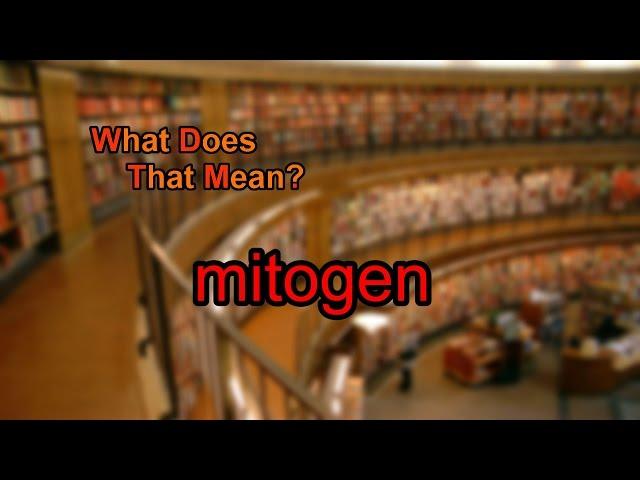 What does mitogen mean?