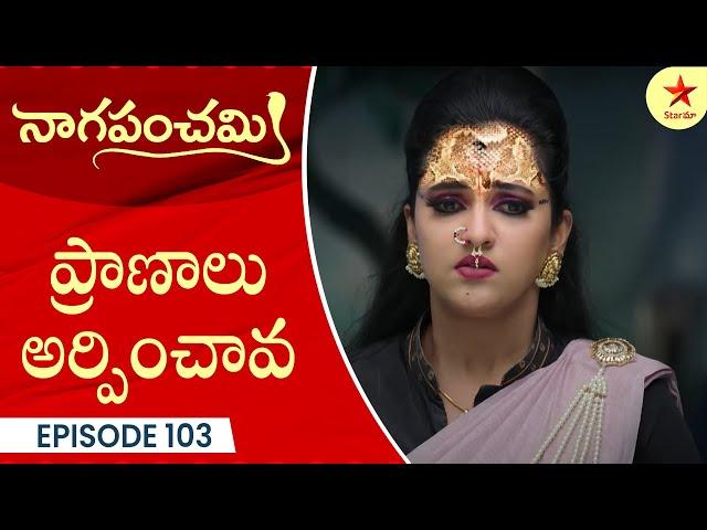 Naga Panchami - Episode 103 Highlight 3 | Telugu Serial | StarMaa Serials | Star Maa