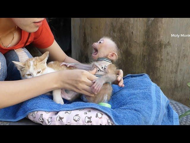 Baby Moly Crying Loudly Worry Mom Abandon When Mom Put Him Down To Wear New Clothe