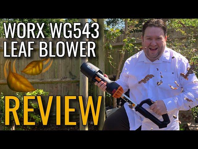 Worx Leaf Blower Review - WG543